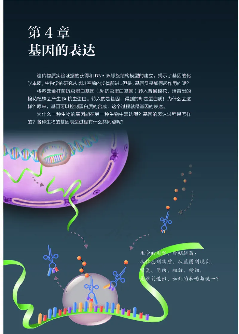 人教版生物必修2_高中电子课本_最新版高中全科高清电子课本_6高中生物课本_2019新人教版