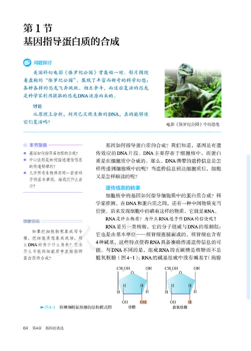 人教版生物必修2_高中电子课本_最新版高中全科高清电子课本_6高中生物课本_2019新人教版