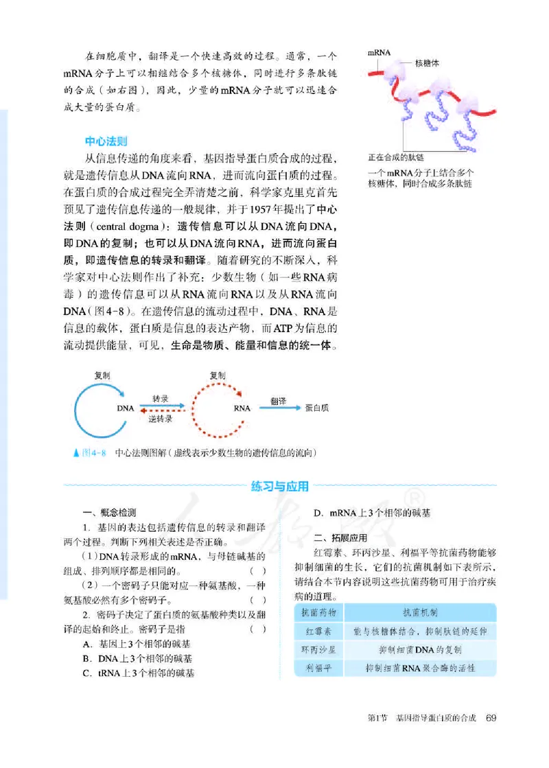 人教版生物必修2_高中电子课本_最新版高中全科高清电子课本_6高中生物课本_2019新人教版