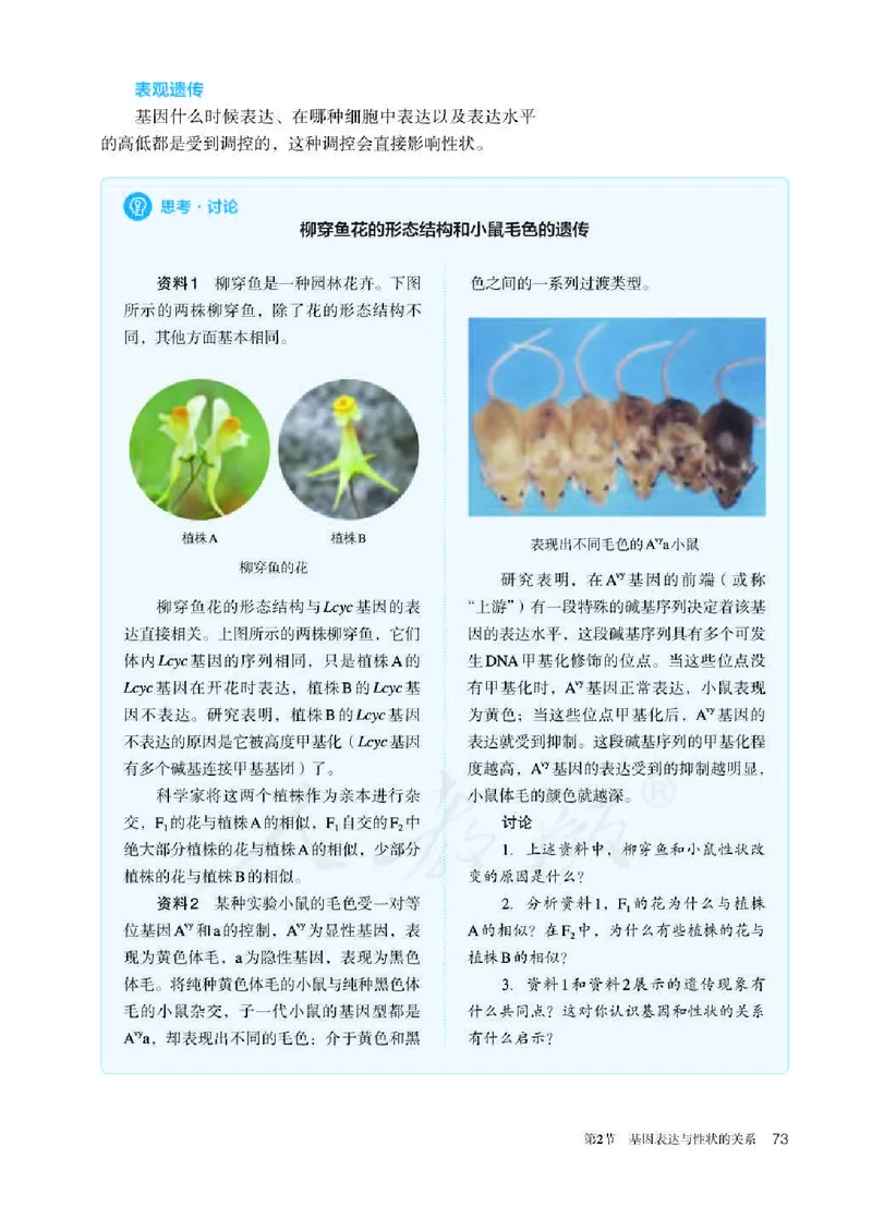 人教版生物必修2_高中电子课本_最新版高中全科高清电子课本_6高中生物课本_2019新人教版