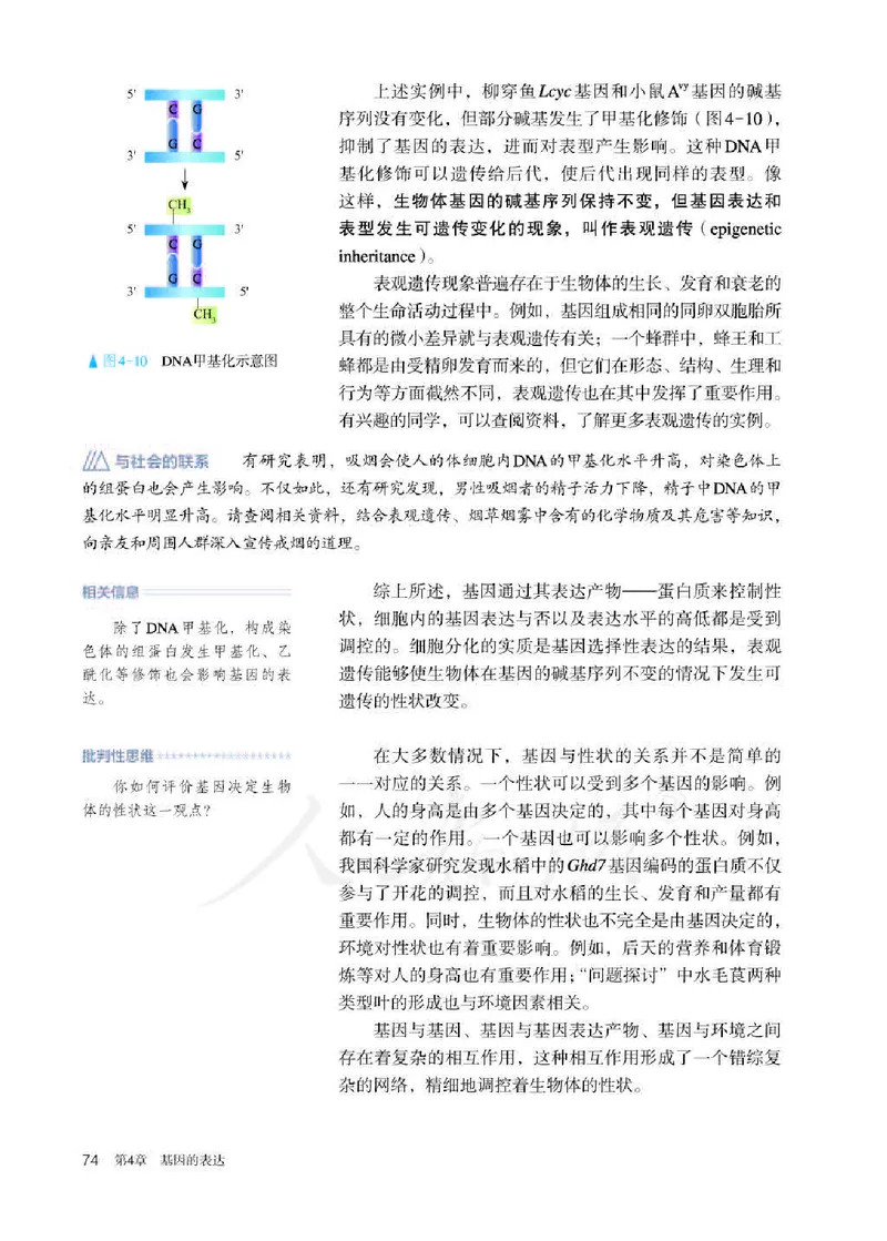 人教版生物必修2_高中电子课本_最新版高中全科高清电子课本_6高中生物课本_2019新人教版