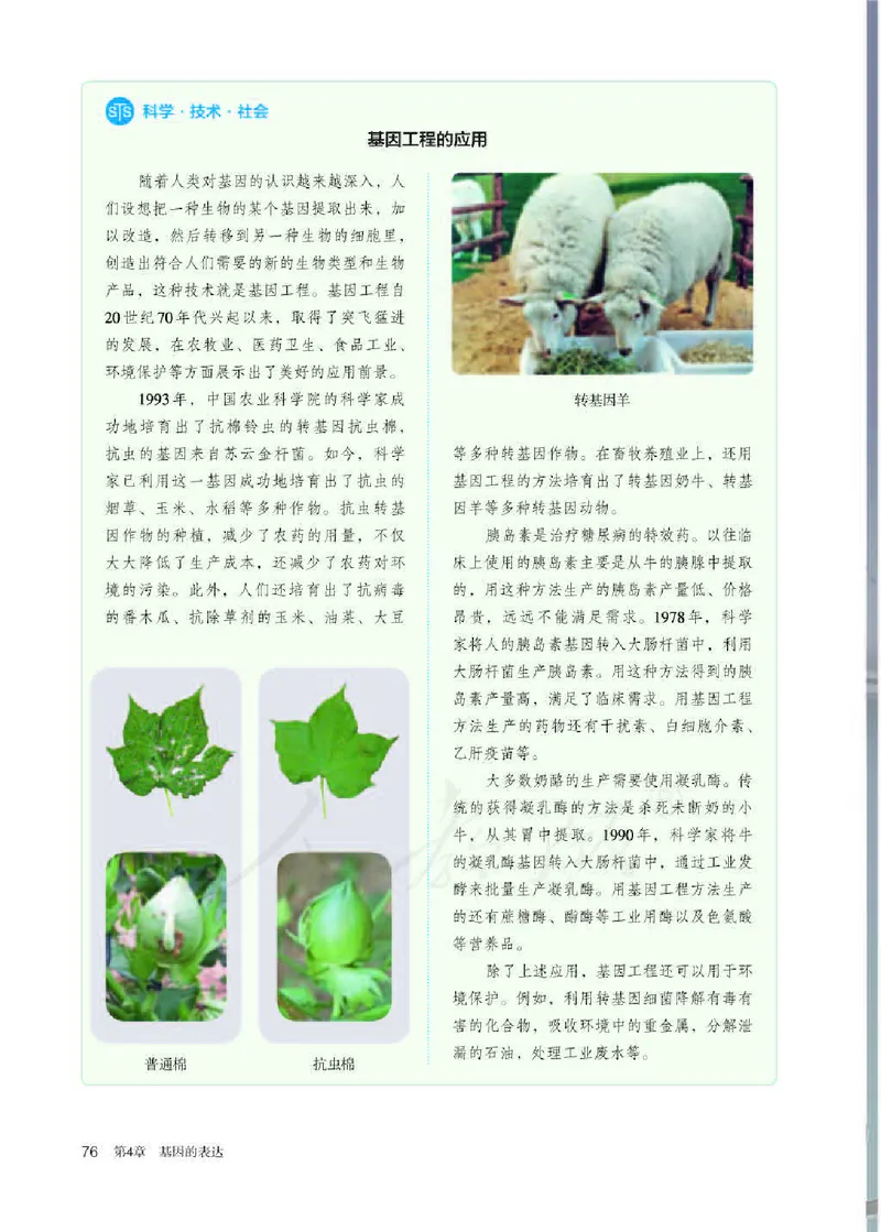 人教版生物必修2_高中电子课本_最新版高中全科高清电子课本_6高中生物课本_2019新人教版