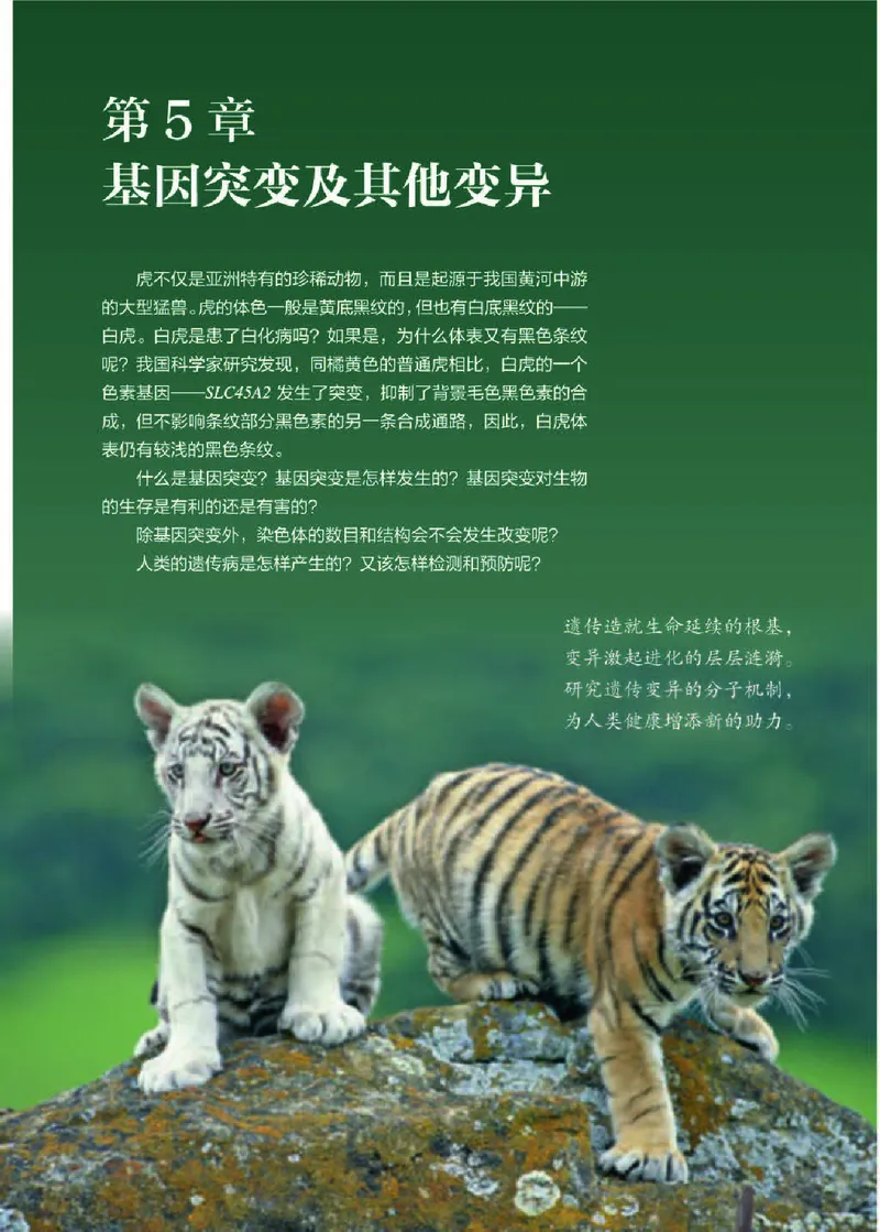 人教版生物必修2_高中电子课本_最新版高中全科高清电子课本_6高中生物课本_2019新人教版