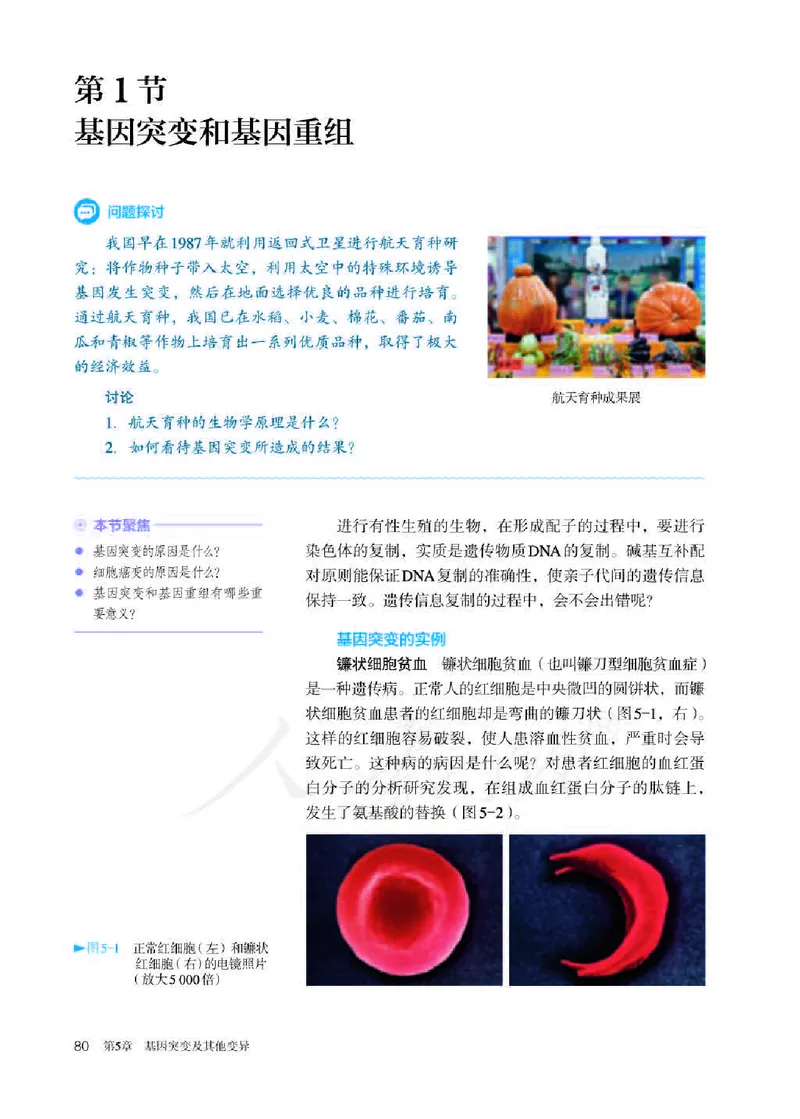 人教版生物必修2_高中电子课本_最新版高中全科高清电子课本_6高中生物课本_2019新人教版