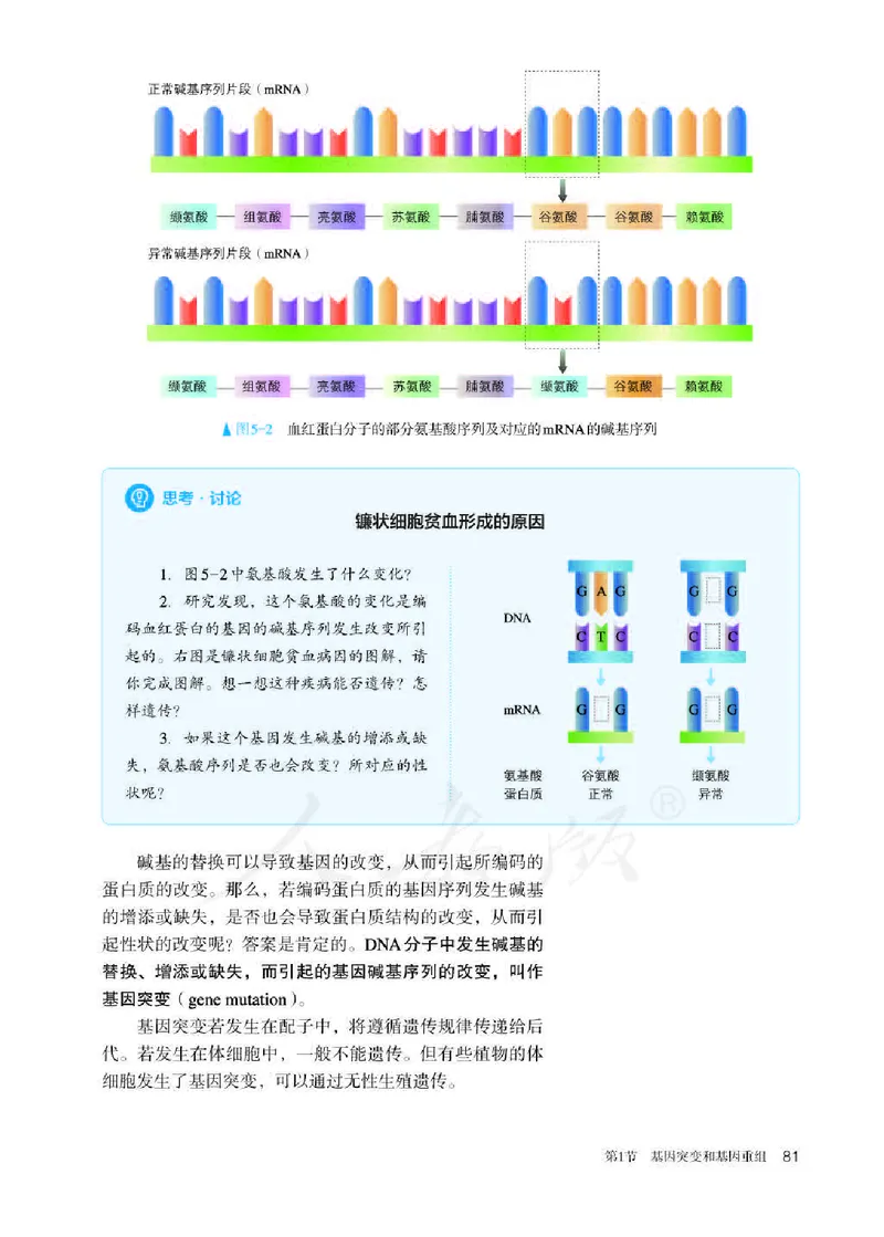 人教版生物必修2_高中电子课本_最新版高中全科高清电子课本_6高中生物课本_2019新人教版