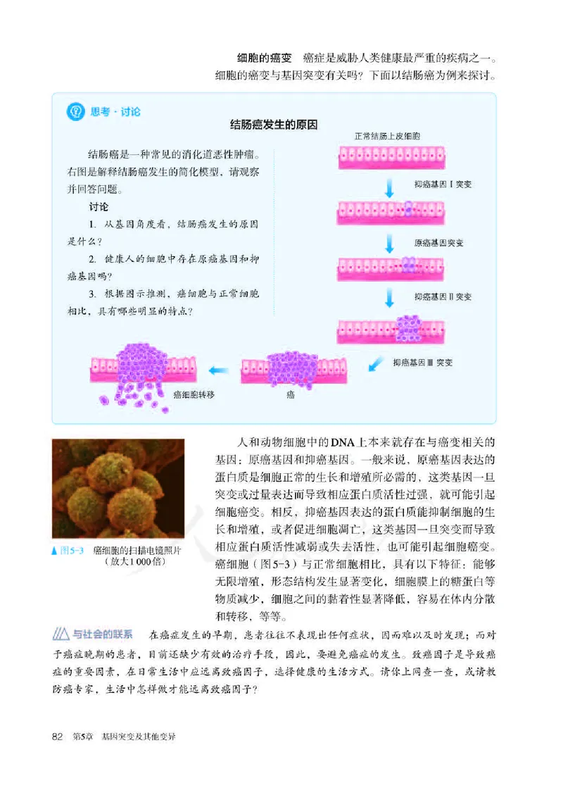 人教版生物必修2_高中电子课本_最新版高中全科高清电子课本_6高中生物课本_2019新人教版