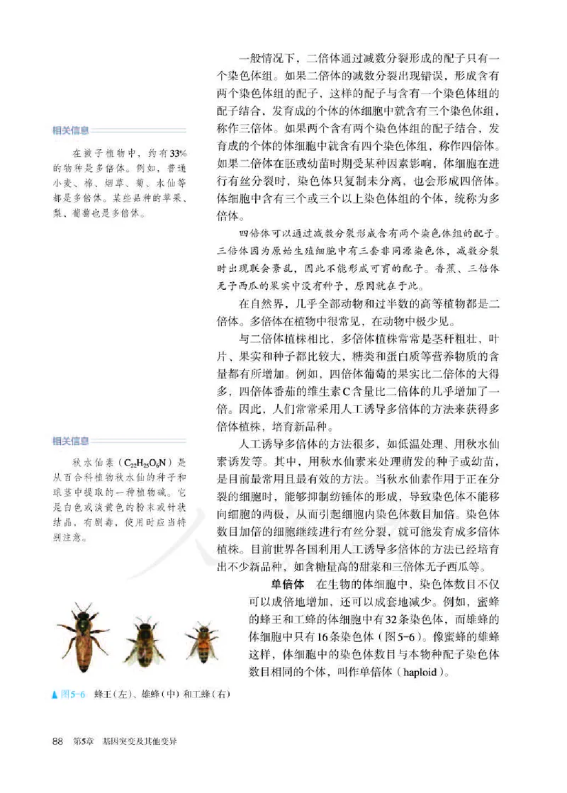 人教版生物必修2_高中电子课本_最新版高中全科高清电子课本_6高中生物课本_2019新人教版