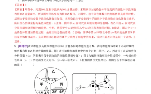 第05讲细胞的增殖和减数分裂（专项训练，4大题型）（解析版）_2025年新高考资料_二轮复习_上好课2025年高考生物二轮复习讲练测（新高考通用）3380526