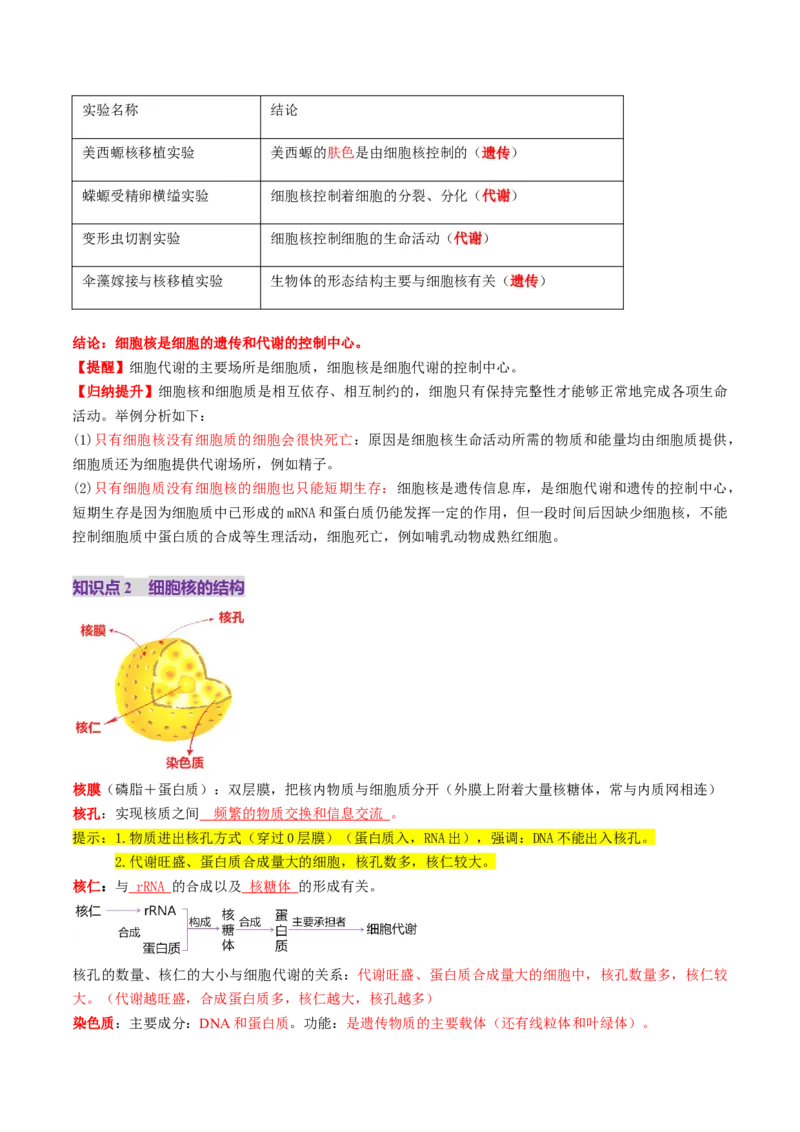 第05讲细胞膜和细胞核（讲义）（原卷版）_2025年新高考资料_一轮复习_2025年高考生物一轮复习讲练测（新教材新高考）