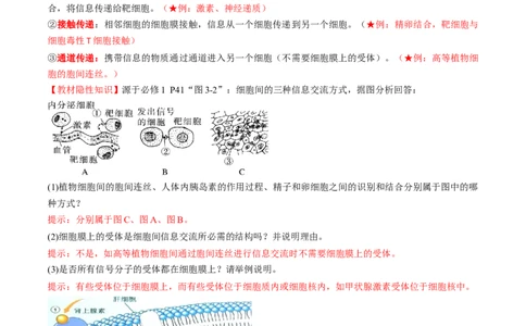 第05讲细胞膜和细胞核（讲义）（原卷版）_2025年新高考资料_一轮复习_2025年高考生物一轮复习讲练测（新教材新高考）