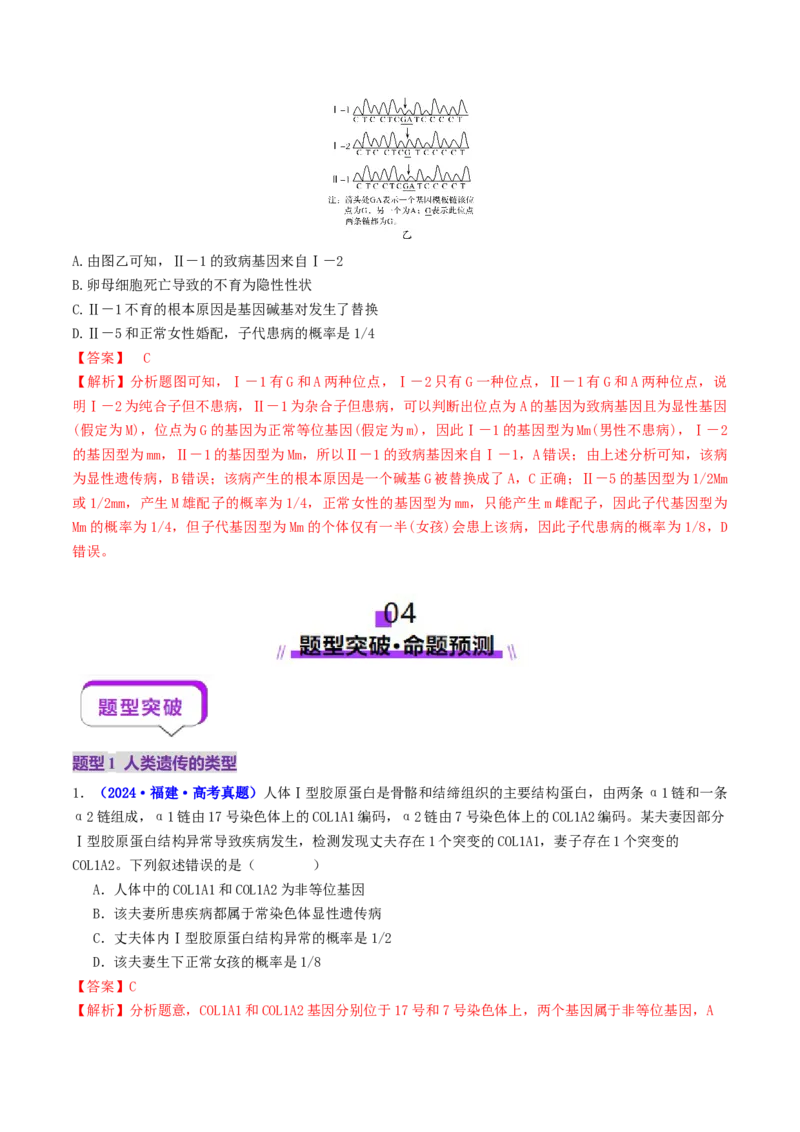 第08讲伴性遗传和人类遗传病（讲义）（解析版）_2025年新高考资料_二轮复习_01高考语文等多个文件_上好课2025年高考生物二轮复习讲练测（新高考通用）
