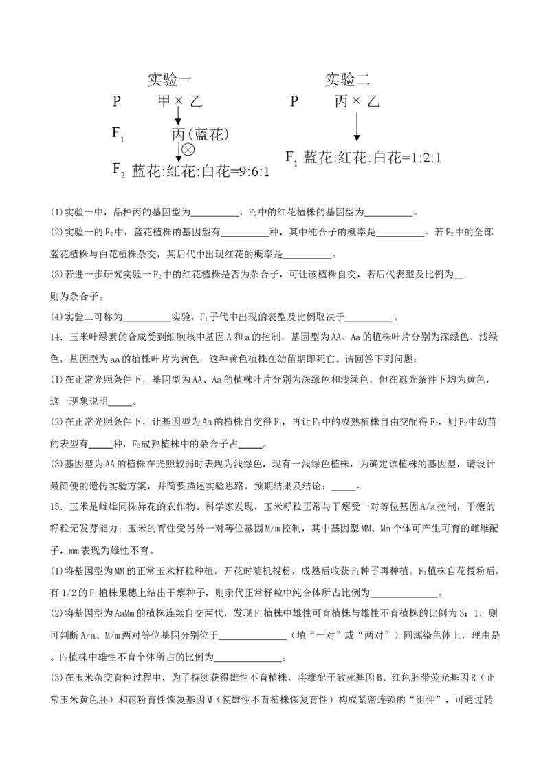 第07讲基因的分离定律和自由组合定律（专项训练，3大题型）（原卷版）_2025年新高考资料_二轮复习_01高考语文等多个文件_上好课2025年高考生物二轮复习讲练测（新高考通用）