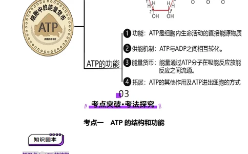 第08讲酶和ATP（第二课时）（讲义）（原卷版）_2025年新高考资料_一轮复习_2025年高考生物一轮复习讲练测（新教材新高考）