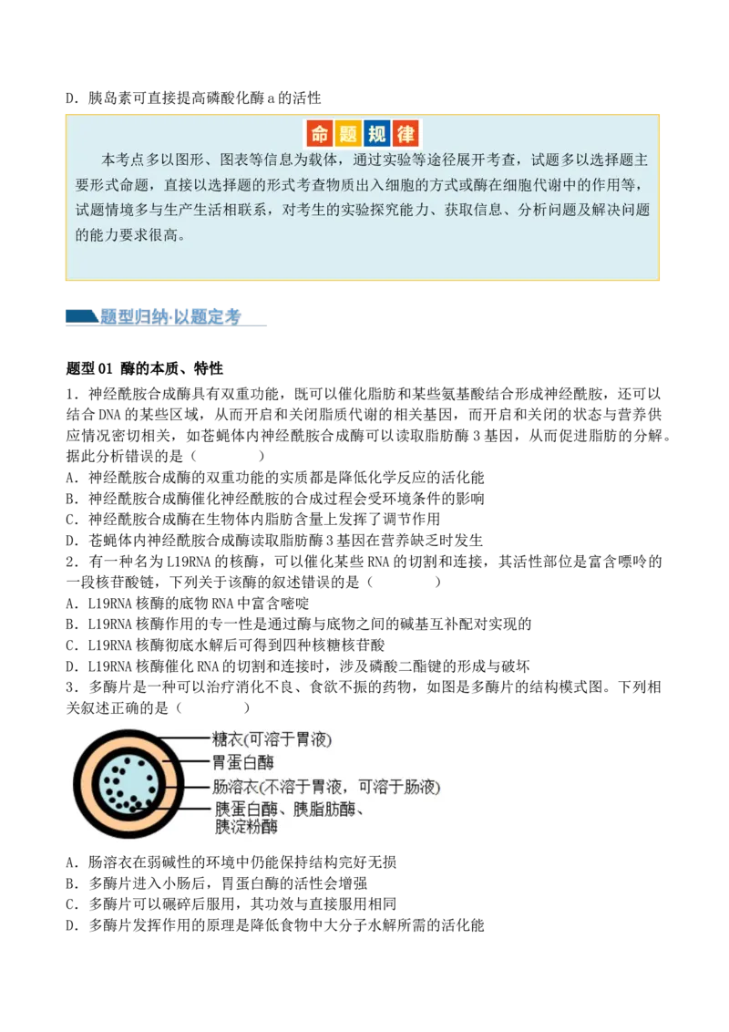 第03讲酶和ATP（讲义）（原卷版）_新高考复习资料_2024年新高考复习资料_二轮复习资料_2024年高考生物二轮复习讲练测（新教材新高考）_配套讲义