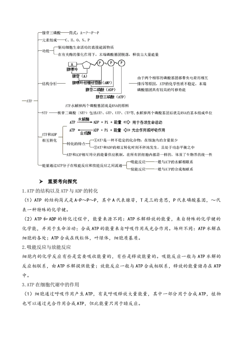第03讲酶和ATP（讲义）（原卷版）_新高考复习资料_2024年新高考复习资料_二轮复习资料_2024年高考生物二轮复习讲练测（新教材新高考）_配套讲义