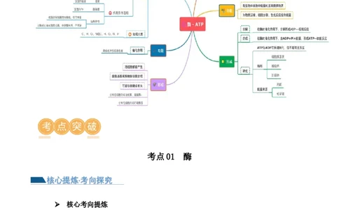 第03讲酶和ATP（讲义）（原卷版）_新高考复习资料_2024年新高考复习资料_二轮复习资料_2024年高考生物二轮复习讲练测（新教材新高考）_配套讲义