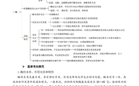 第03讲酶和ATP（讲义）（原卷版）_新高考复习资料_2024年新高考复习资料_二轮复习资料_2024年高考生物二轮复习讲练测（新教材新高考）_配套讲义