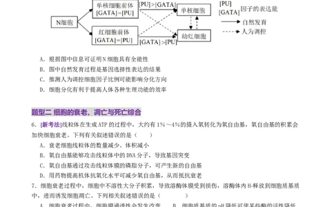 第06讲细胞的分化、衰老、死亡和癌变（专项训练，3大题型）（原卷版）_2025年新高考资料_二轮复习_01高考语文等多个文件_上好课2025年高考生物二轮复习讲练测（新高考通用）