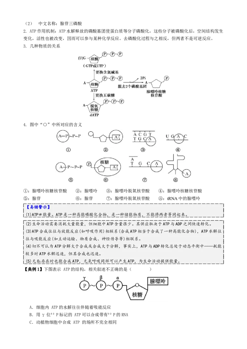 第03讲ATP和酶（讲义）（原卷版）_2025年新高考资料_二轮复习_01高考语文等多个文件_上好课2025年高考生物二轮复习讲练测（新高考通用）