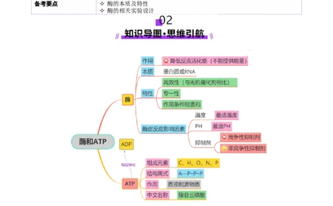 第03讲ATP和酶（讲义）（原卷版）_2025年新高考资料_二轮复习_01高考语文等多个文件_上好课2025年高考生物二轮复习讲练测（新高考通用）