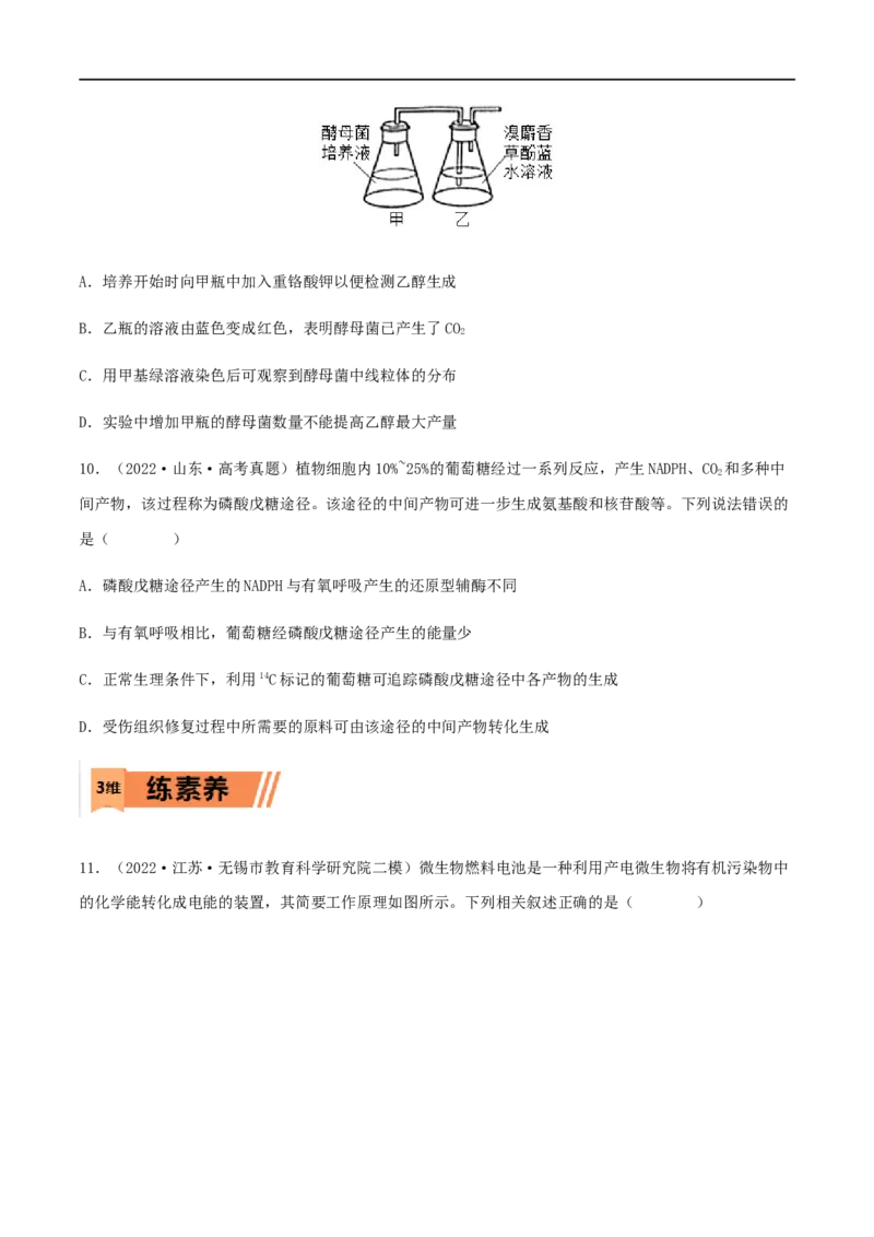 第08练细胞呼吸（原卷版）_新高考复习资料_2023年新高考复习资料_一轮复习_2023年高考生物一轮复习小题多维练（新高考专用）