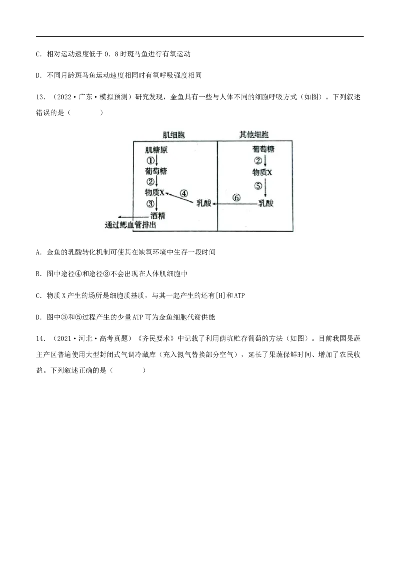第08练细胞呼吸（原卷版）_新高考复习资料_2023年新高考复习资料_一轮复习_2023年高考生物一轮复习小题多维练（新高考专用）