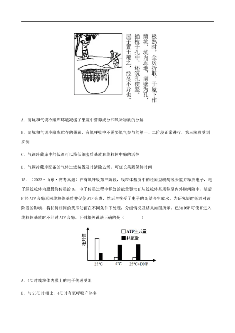 第08练细胞呼吸（原卷版）_新高考复习资料_2023年新高考复习资料_一轮复习_2023年高考生物一轮复习小题多维练（新高考专用）