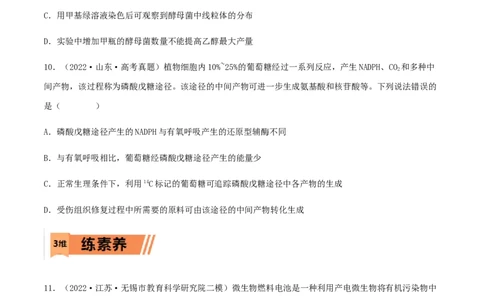 第08练细胞呼吸（原卷版）_新高考复习资料_2023年新高考复习资料_一轮复习_2023年高考生物一轮复习小题多维练（新高考专用）