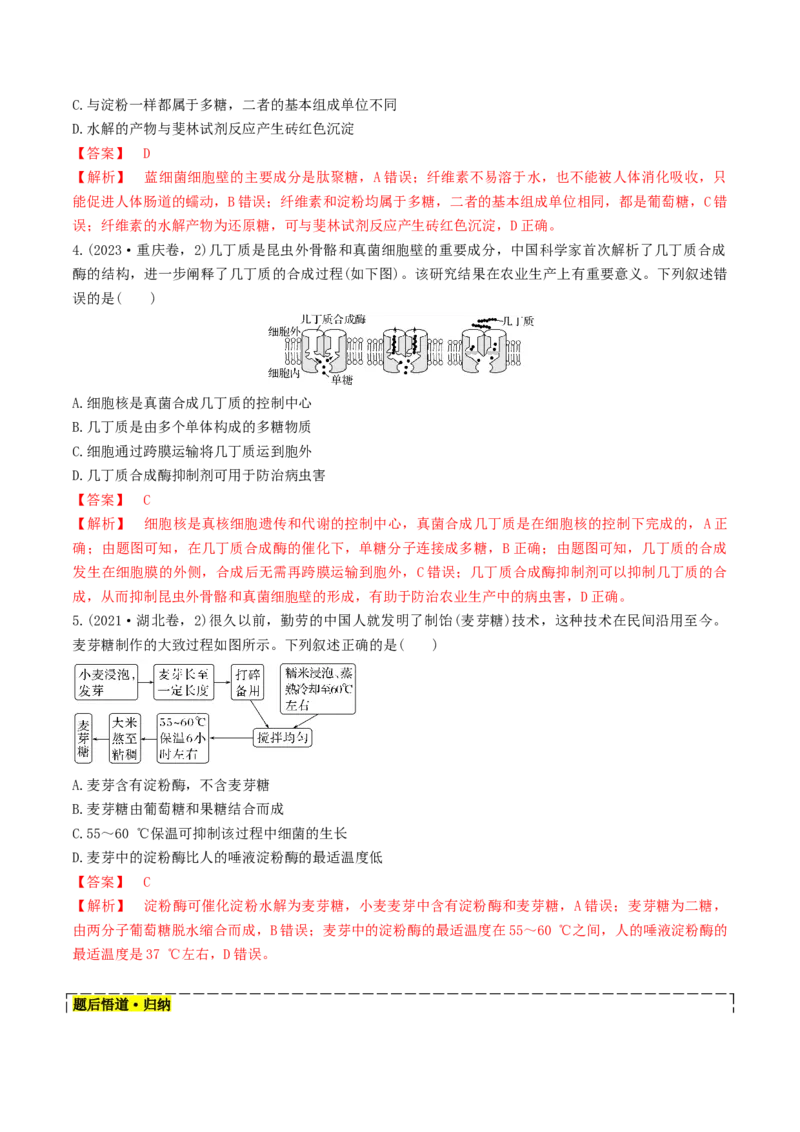 第03讲糖类和脂质（讲义）（解析版）_2025年新高考资料_一轮复习_2025年高考生物一轮复习讲练测（新教材新高考）