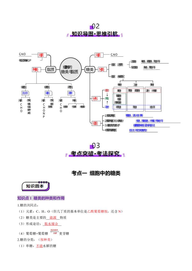 第03讲糖类和脂质（讲义）（解析版）_2025年新高考资料_一轮复习_2025年高考生物一轮复习讲练测（新教材新高考）