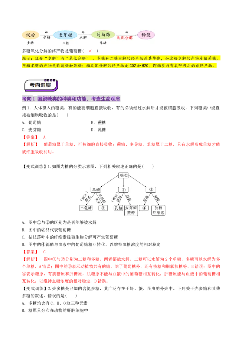 第03讲糖类和脂质（讲义）（解析版）_2025年新高考资料_一轮复习_2025年高考生物一轮复习讲练测（新教材新高考）