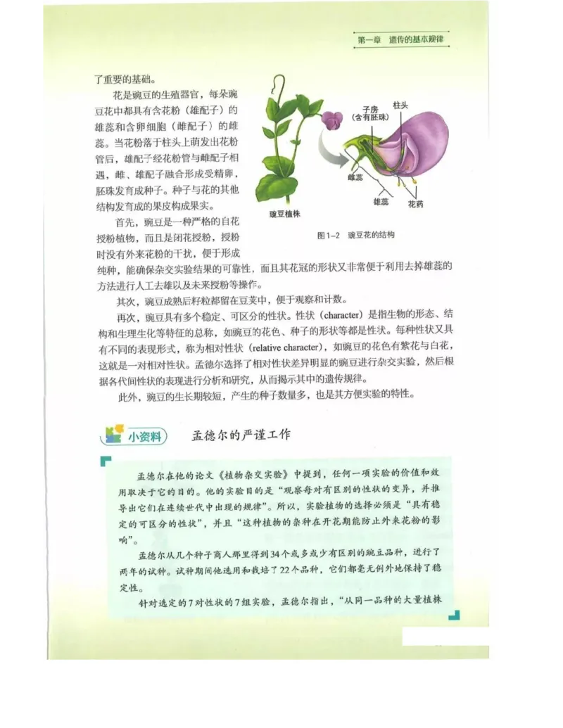 新浙科版高中生物必修2《遗传与进化》_高中电子课本_最新版高中全科高清电子课本_6高中生物课本_2019新人教版