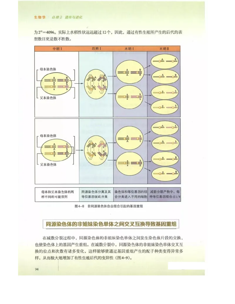 新浙科版高中生物必修2《遗传与进化》_高中电子课本_最新版高中全科高清电子课本_6高中生物课本_2019新人教版