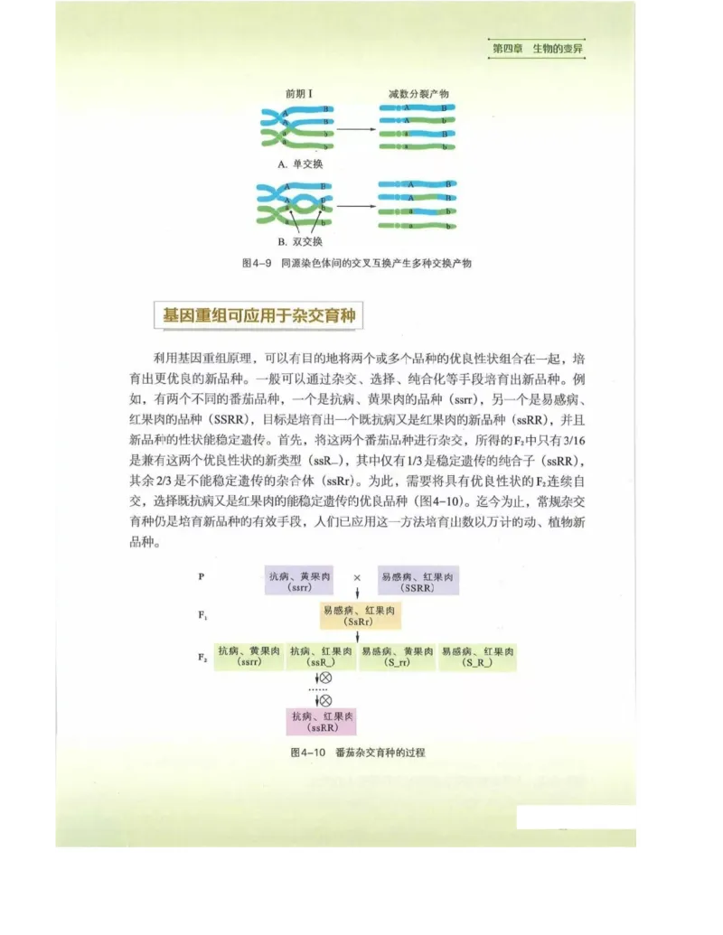 新浙科版高中生物必修2《遗传与进化》_高中电子课本_最新版高中全科高清电子课本_6高中生物课本_2019新人教版