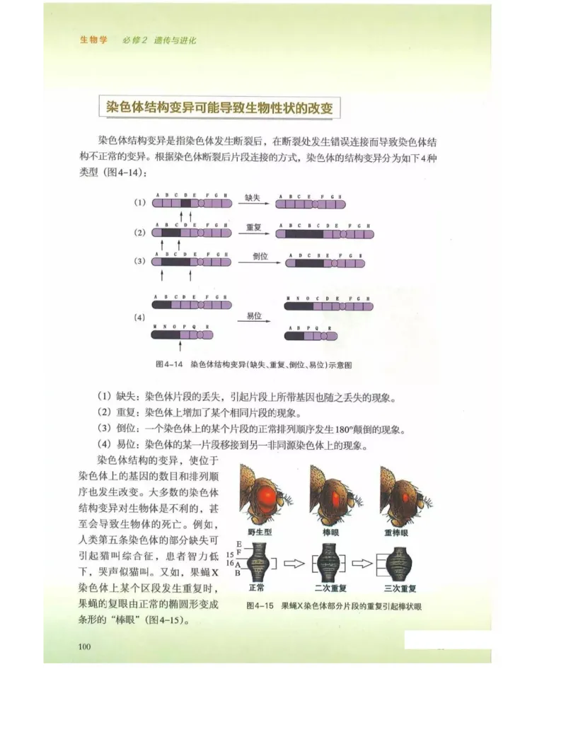 新浙科版高中生物必修2《遗传与进化》_高中电子课本_最新版高中全科高清电子课本_6高中生物课本_2019新人教版