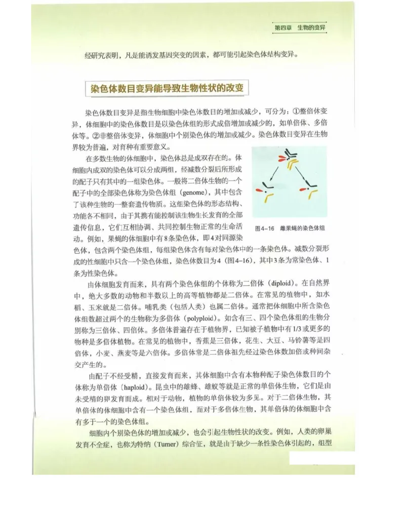 新浙科版高中生物必修2《遗传与进化》_高中电子课本_最新版高中全科高清电子课本_6高中生物课本_2019新人教版