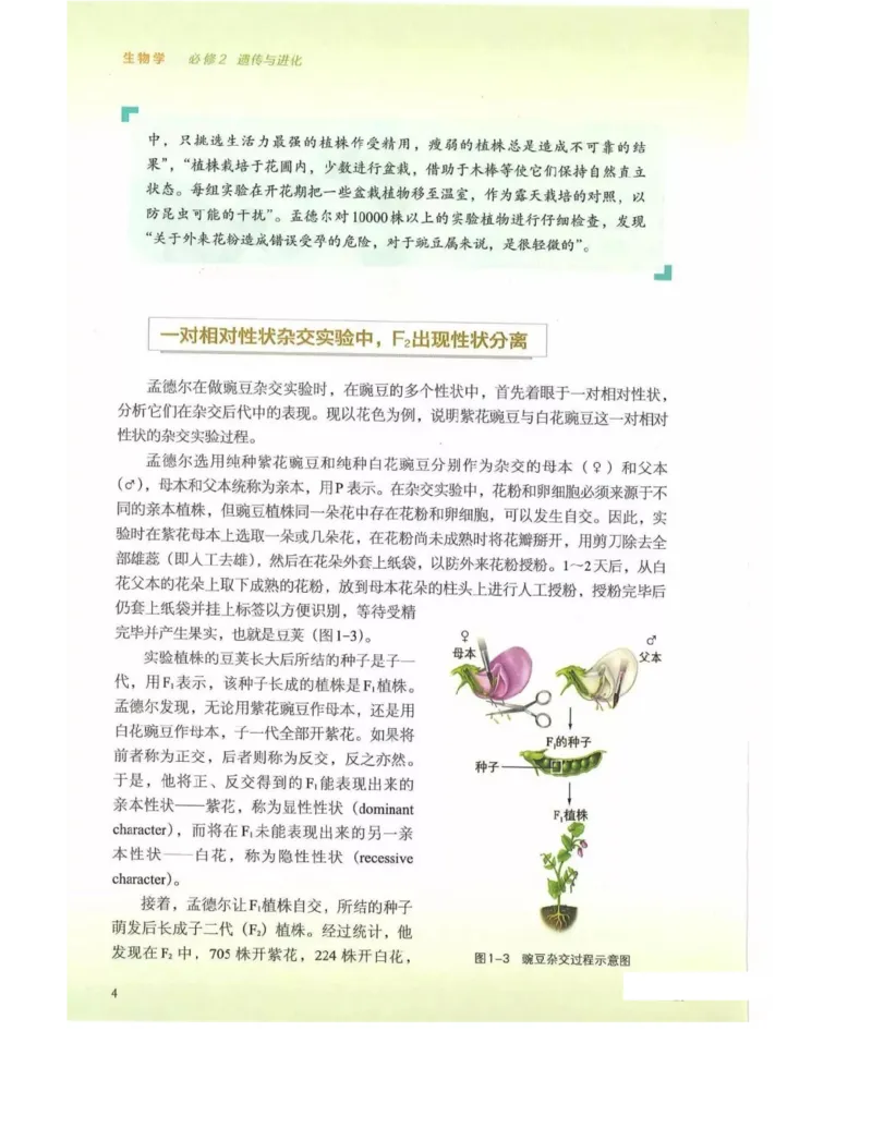新浙科版高中生物必修2《遗传与进化》_高中电子课本_最新版高中全科高清电子课本_6高中生物课本_2019新人教版