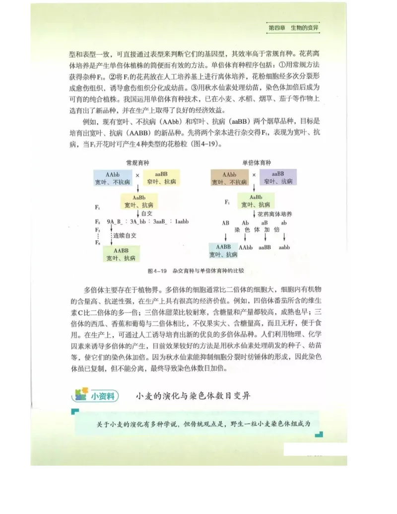 新浙科版高中生物必修2《遗传与进化》_高中电子课本_最新版高中全科高清电子课本_6高中生物课本_2019新人教版