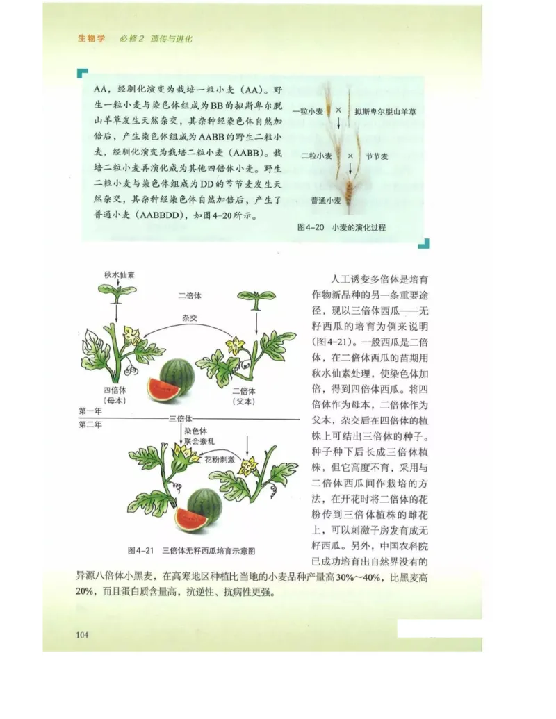 新浙科版高中生物必修2《遗传与进化》_高中电子课本_最新版高中全科高清电子课本_6高中生物课本_2019新人教版