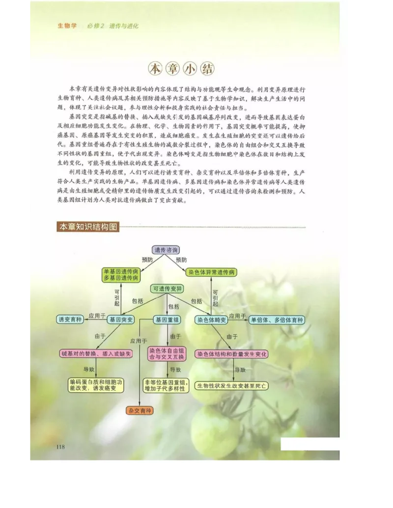 新浙科版高中生物必修2《遗传与进化》_高中电子课本_最新版高中全科高清电子课本_6高中生物课本_2019新人教版