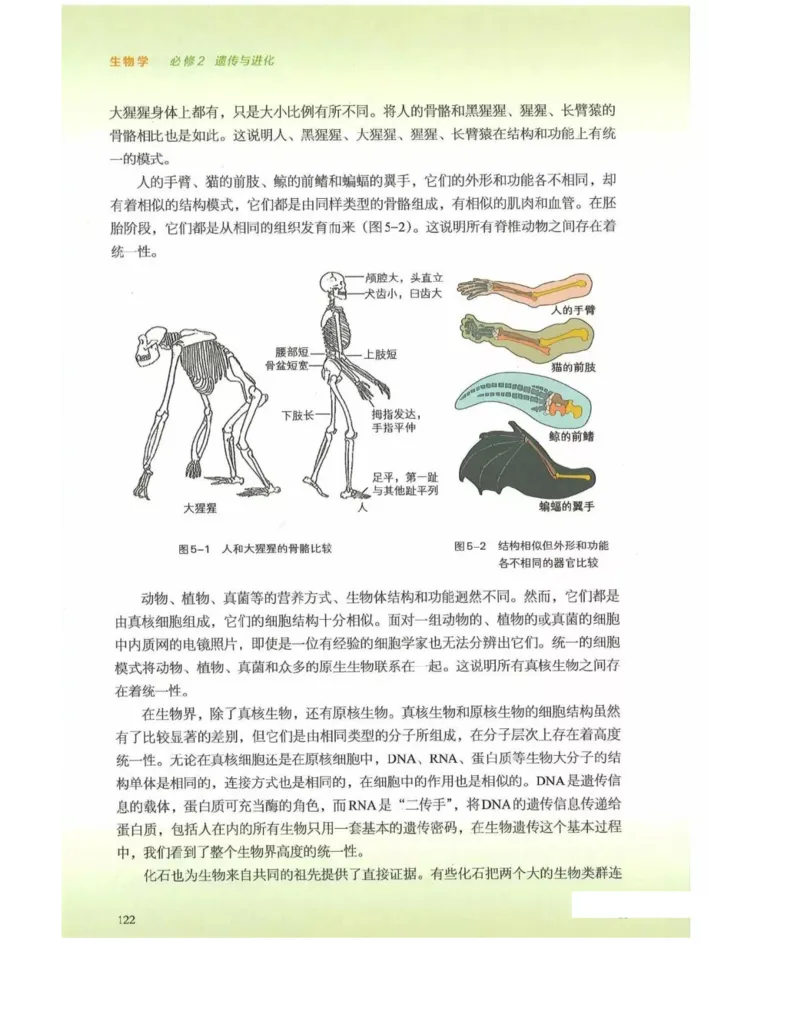 新浙科版高中生物必修2《遗传与进化》_高中电子课本_最新版高中全科高清电子课本_6高中生物课本_2019新人教版