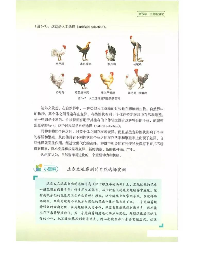 新浙科版高中生物必修2《遗传与进化》_高中电子课本_最新版高中全科高清电子课本_6高中生物课本_2019新人教版