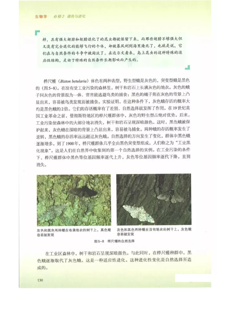 新浙科版高中生物必修2《遗传与进化》_高中电子课本_最新版高中全科高清电子课本_6高中生物课本_2019新人教版