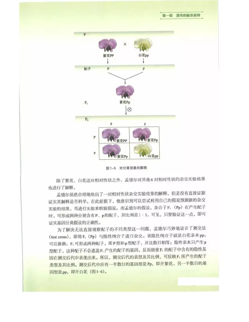 新浙科版高中生物必修2《遗传与进化》_高中电子课本_最新版高中全科高清电子课本_6高中生物课本_2019新人教版