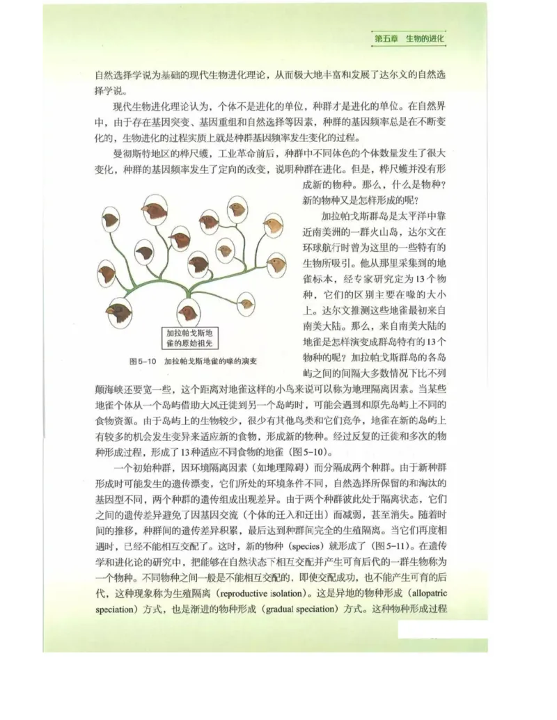 新浙科版高中生物必修2《遗传与进化》_高中电子课本_最新版高中全科高清电子课本_6高中生物课本_2019新人教版