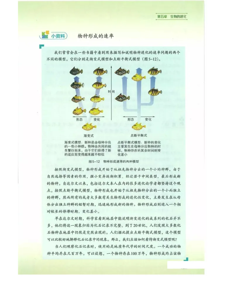 新浙科版高中生物必修2《遗传与进化》_高中电子课本_最新版高中全科高清电子课本_6高中生物课本_2019新人教版