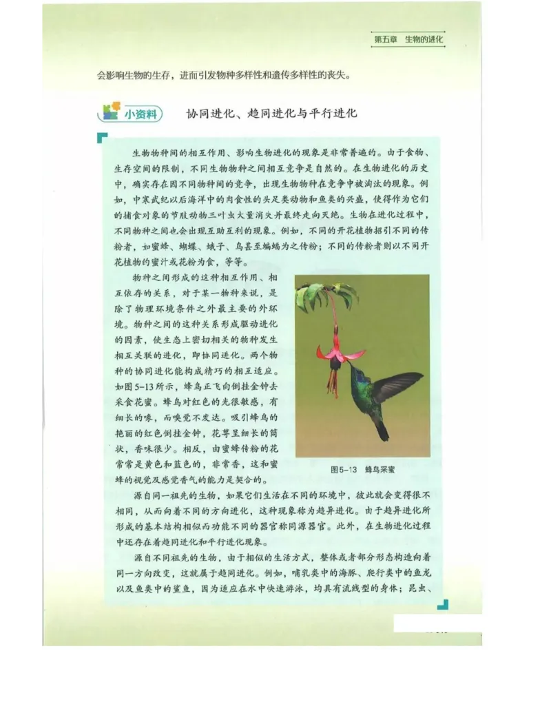 新浙科版高中生物必修2《遗传与进化》_高中电子课本_最新版高中全科高清电子课本_6高中生物课本_2019新人教版