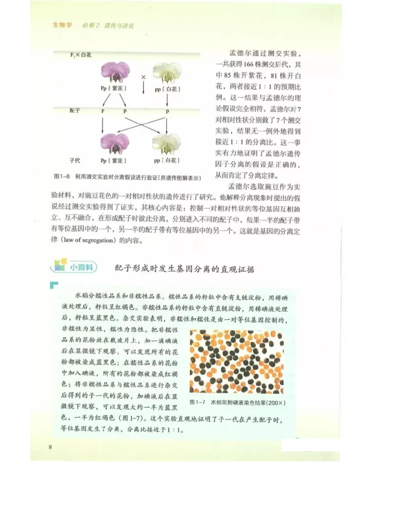 新浙科版高中生物必修2《遗传与进化》_高中电子课本_最新版高中全科高清电子课本_6高中生物课本_2019新人教版