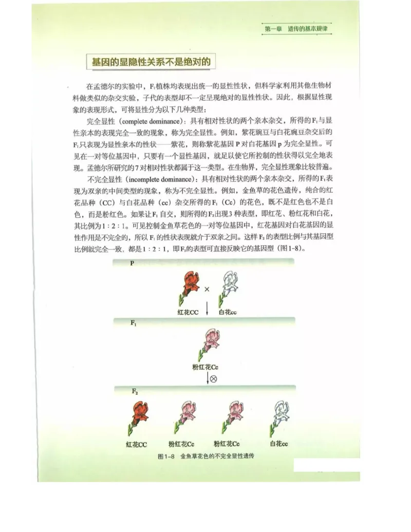 新浙科版高中生物必修2《遗传与进化》_高中电子课本_最新版高中全科高清电子课本_6高中生物课本_2019新人教版