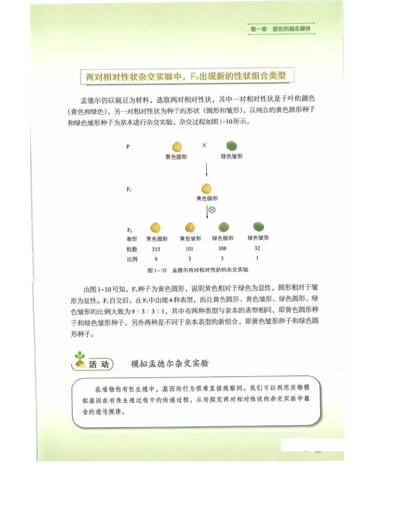 新浙科版高中生物必修2《遗传与进化》_高中电子课本_最新版高中全科高清电子课本_6高中生物课本_2019新人教版